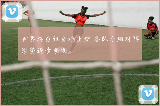 世界杯分组分档出炉 各队小组对阵形势逐步明朗