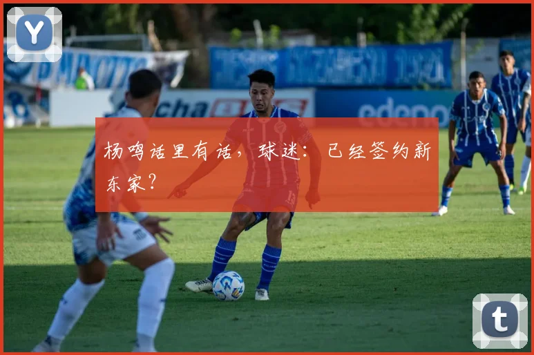 杨鸣话里有话，球迷：已经签约新东家？